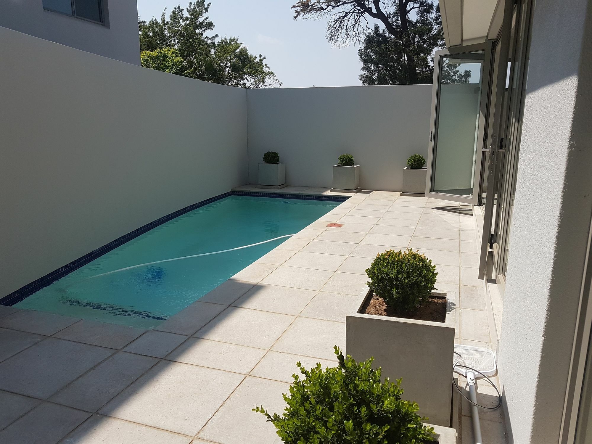 Daisy Place Johannesburg Exterior foto